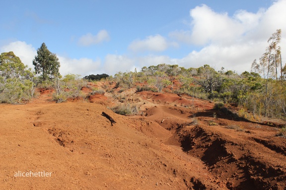 Waimea Canyon